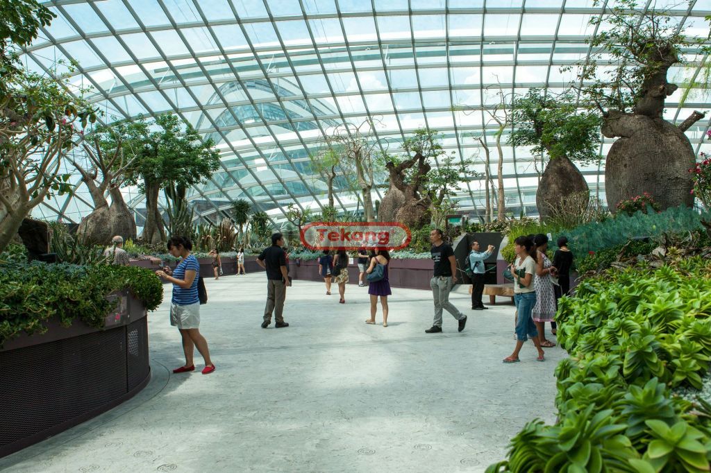 Gardens by the Bay – Conservatories